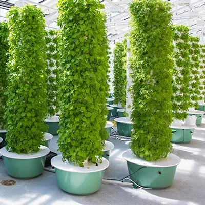 Hydroponic Tower Garden - Sistemi di Coltivazione Aeroponica a Torre