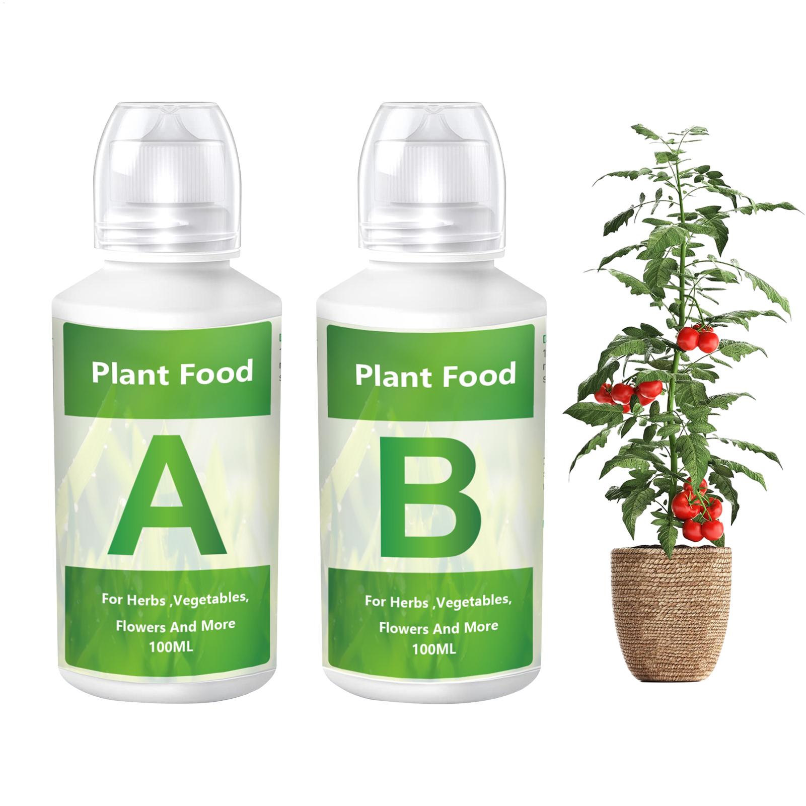 Hydroponic Nutrient A B Set - Set di fertilizzanti idroponici A&B, soluzione