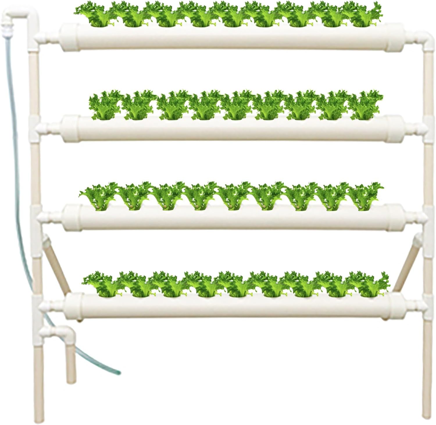 Hydroponic Growing System 36 Site - Sistema di Coltivazione Idroponica a 36
