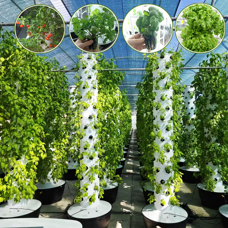 Hydroponic Tower Garden - Sistema di Coltivazione Verticale Aeroponica Lyine,