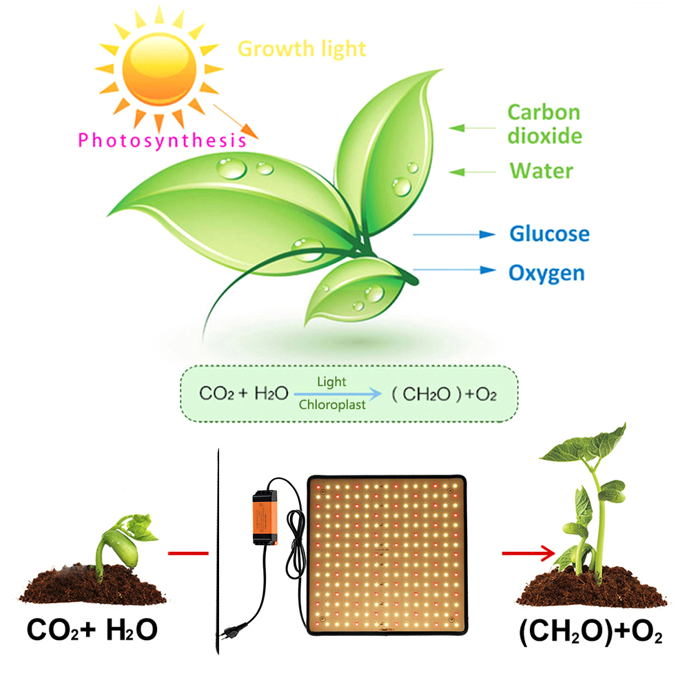 Pannello LED per Coltivazione  - Led Grow Light 1000W Full Spectrum recensione e prezzo