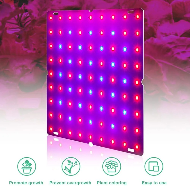 LED Pianta Coltiva La Luce 100 - Led Grow Light 1000W Full Spectrum recensione e prezzo