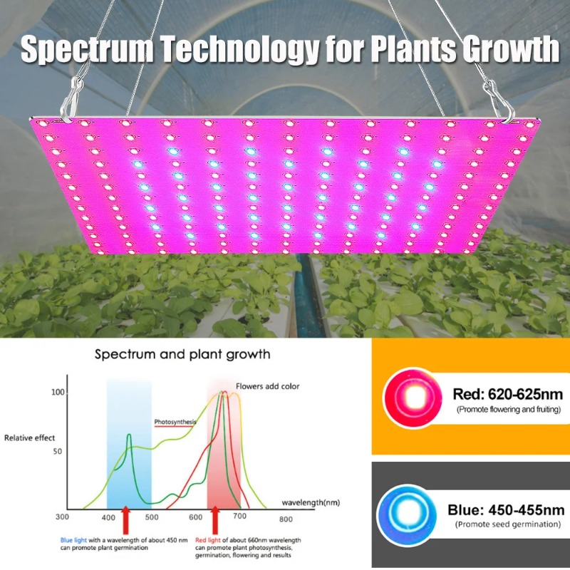 LED Pianta Coltiva La Luce 100 - Led Grow Light 1000W Full Spectrum recensione e prezzo