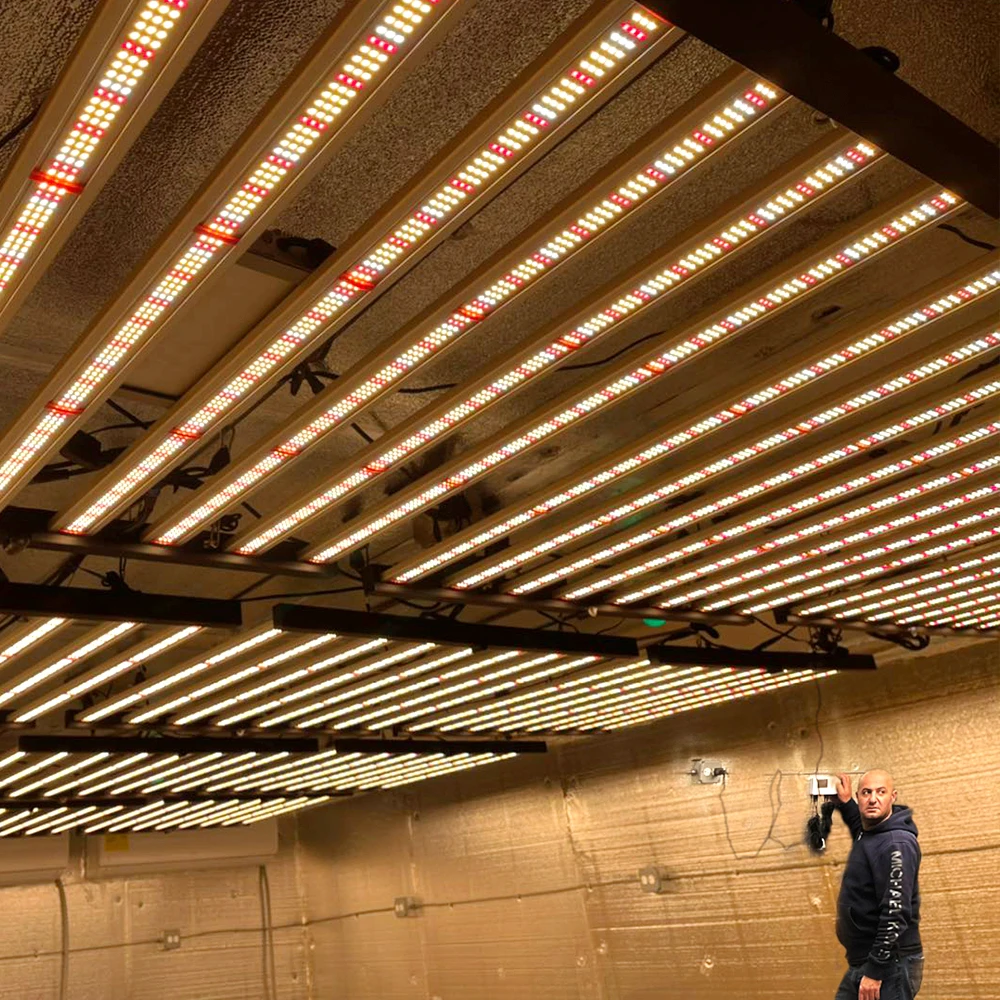 Lampada per Coltivazione Phliz - Led Grow Light Bar 640W recensione e prezzo