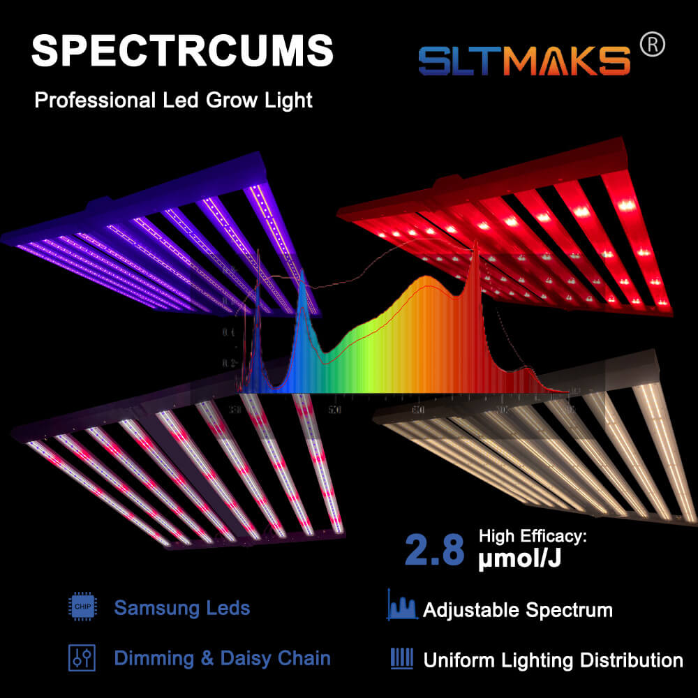 Luci LED per Coltivazione PPFD - Led Grow Light 1000W Full Spectrum recensione e prezzo