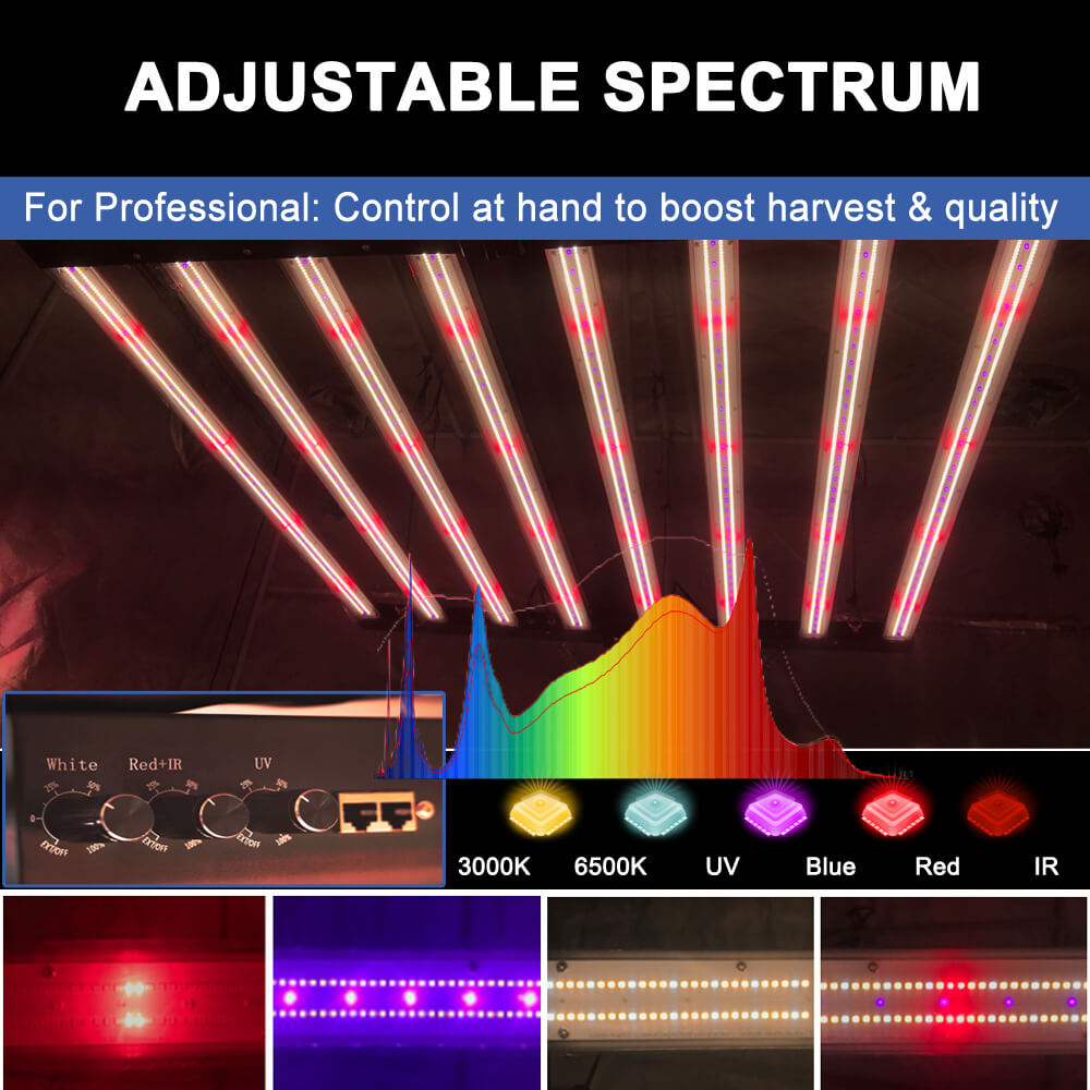 Luci LED per Coltivazione PPFD - Led Grow Light 1000W Full Spectrum recensione e prezzo