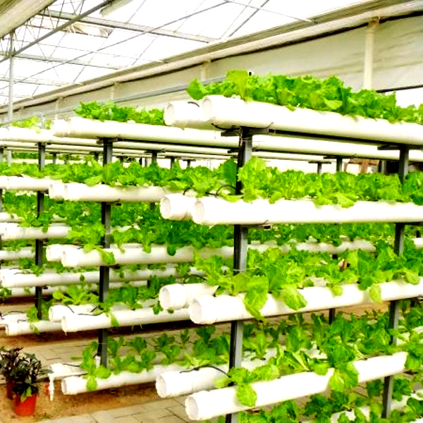 Sistemi di Coltivazione Idropo - Hydroponic Tower Garden recensione e prezzo