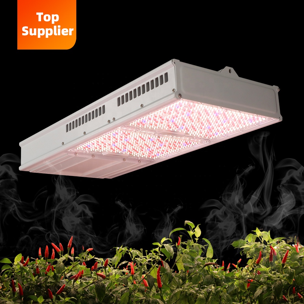 Lampada LED per Coltivazione I - Led Grow Light 1000W Full Spectrum recensione e prezzo