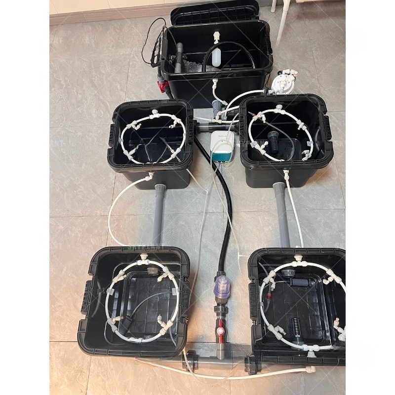 Sistema automatico di irrigazi - Dwc Bucket System 5 Gallon recensione e prezzo