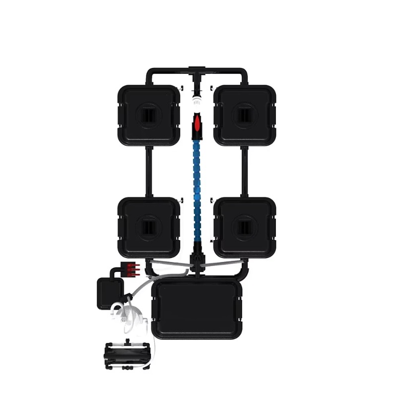 Sistema automatico di irrigazi - Dwc Bucket System 5 Gallon recensione e prezzo