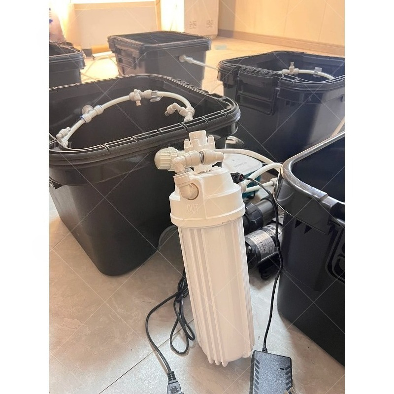 Sistema automatico di irrigazi - Dwc Bucket System 5 Gallon recensione e prezzo