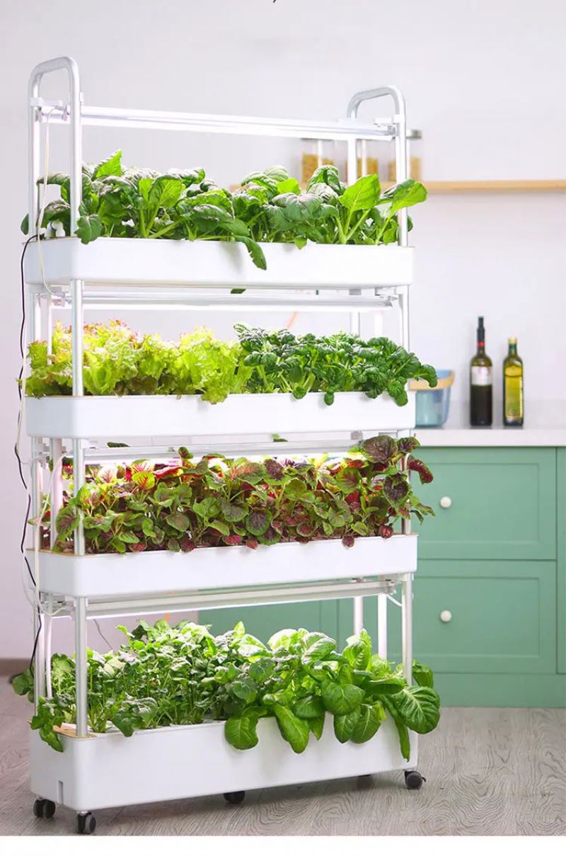 Sistema di Coltivazione Idropo - Hydroponic Tower Garden recensione e prezzo