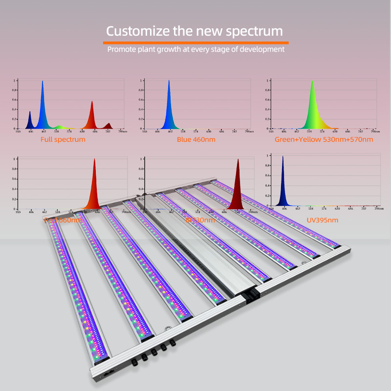 Barra LED per Coltivazione Ind - Led Grow Light 1000W Full Spectrum recensione e prezzo