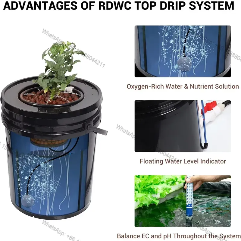 Offerta Speciale Sistema di Co - Deep Water Culture Kit recensione e prezzo