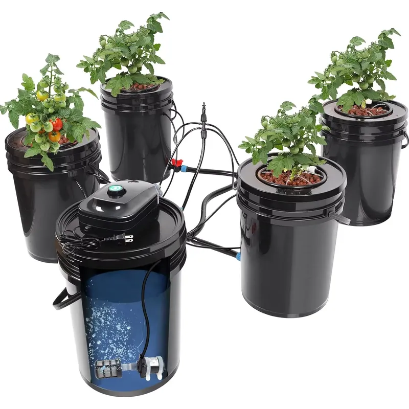 Offerta Speciale Sistema di Co - Deep Water Culture Kit recensione e prezzo