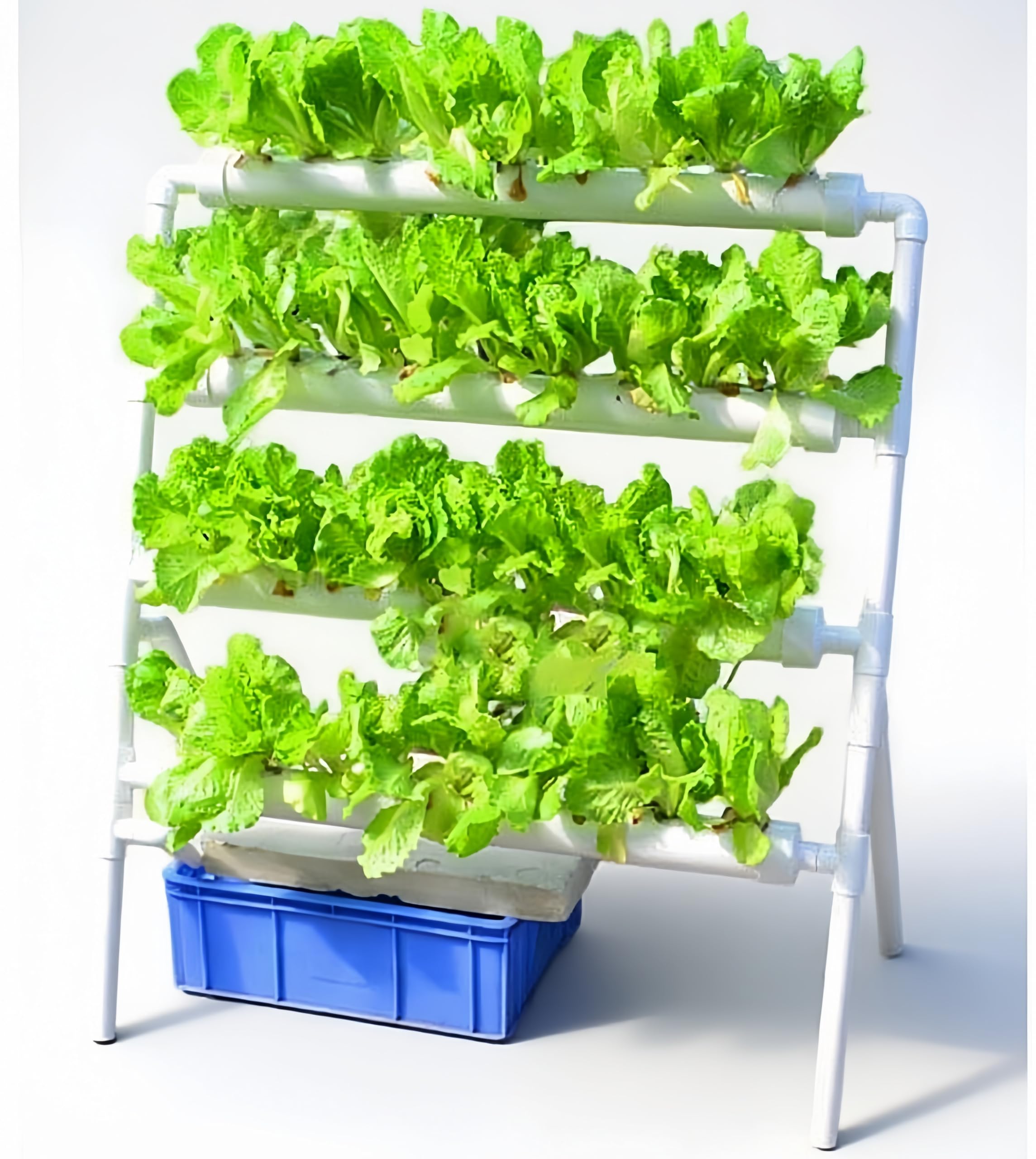 Sistema di Coltivazione Idropo - Hydroponic Growing System 36 Site recensione e prezzo