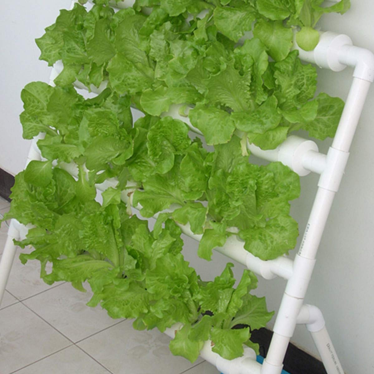 Sistema di Coltivazione Idropo - Hydroponic Growing System 36 Site recensione e prezzo
