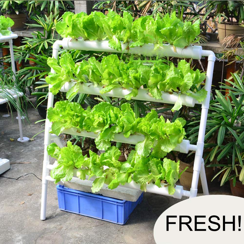 Sistema di Coltivazione Idropo - Hydroponic Growing System 36 Site recensione e prezzo