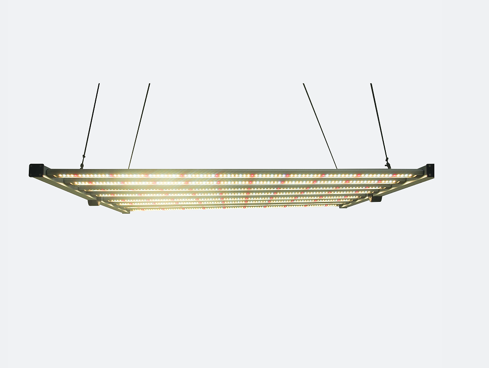 Il LED idroponico per serra pe - Led Grow Light 1000W Full Spectrum recensione e prezzo