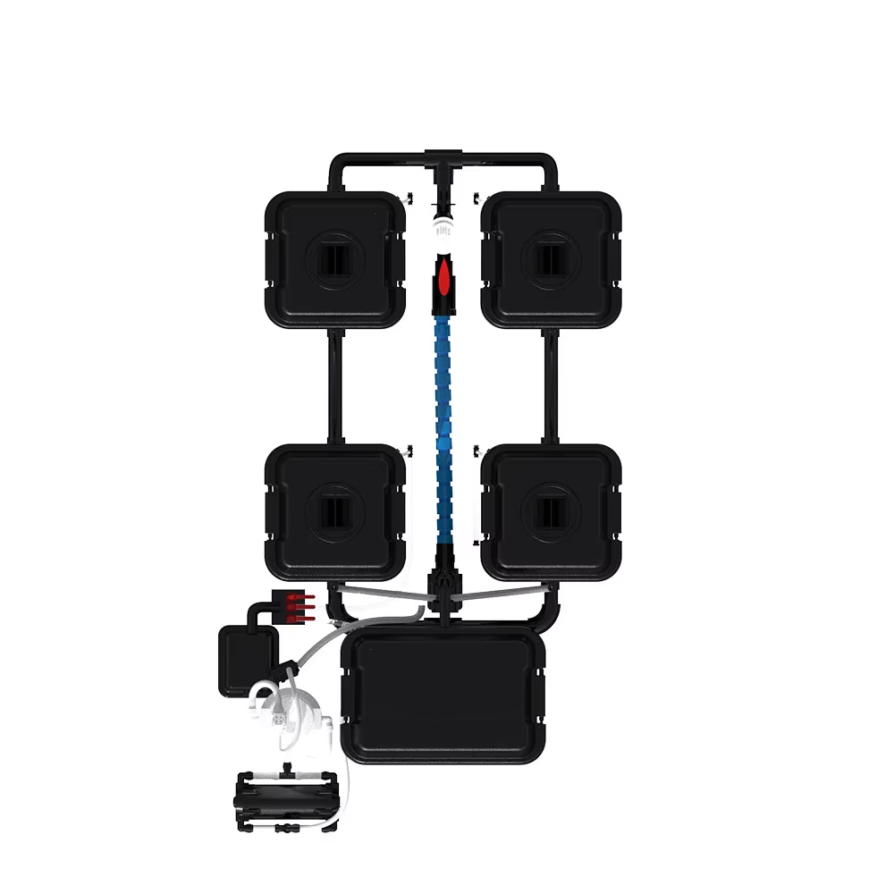 Sistema automatico di irrigazi - Dwc Bucket System 5 Gallon recensione e prezzo