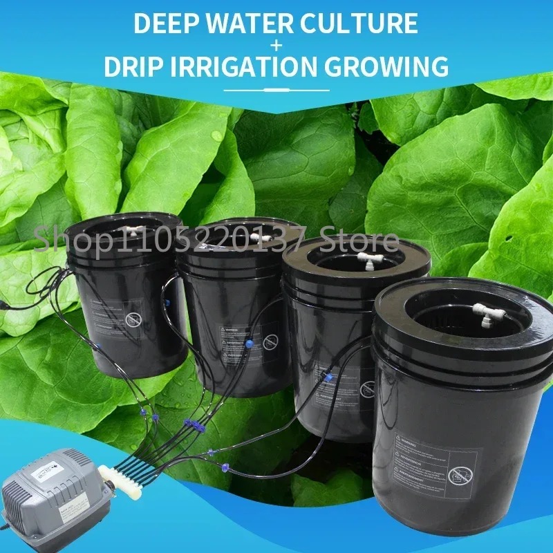 DWC Ricircolo di sistema idrop - Dwc Bucket System 5 Gallon recensione e prezzo