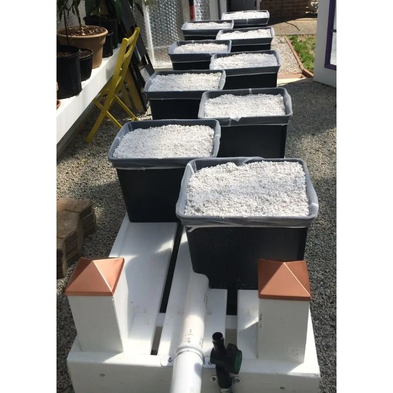 Sistema di Irrigazione Automat - Dwc Bucket System 5 Gallon recensione e prezzo