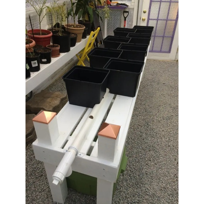 Sistema di Irrigazione Automat - Dwc Bucket System 5 Gallon recensione e prezzo
