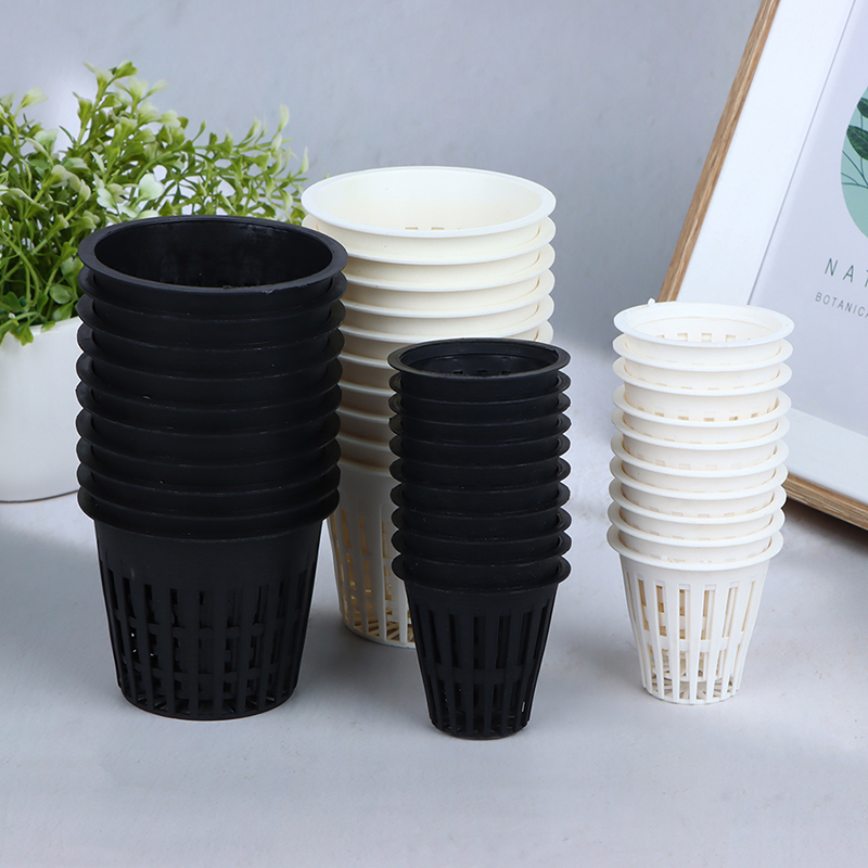 10 Pezzi di Contenitori a Rete - Hydroponic Net Pots 3 Inch recensione e prezzo