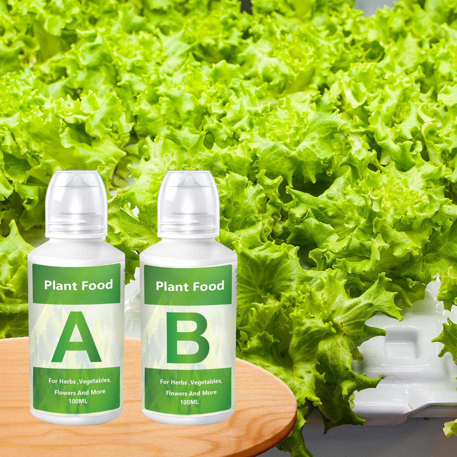 Fertilizzante Idroponico per P - Hydroponic Nutrient A B Set recensione e prezzo