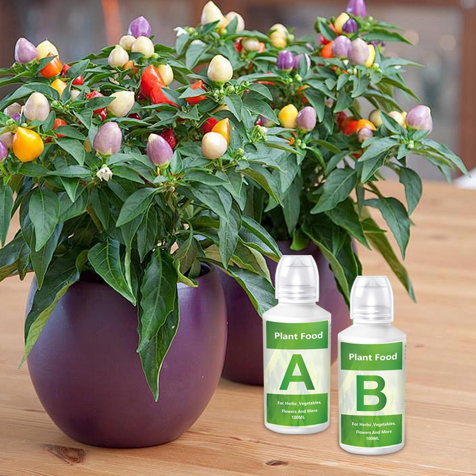Fertilizzante Idroponico per P - Hydroponic Nutrient A B Set recensione e prezzo