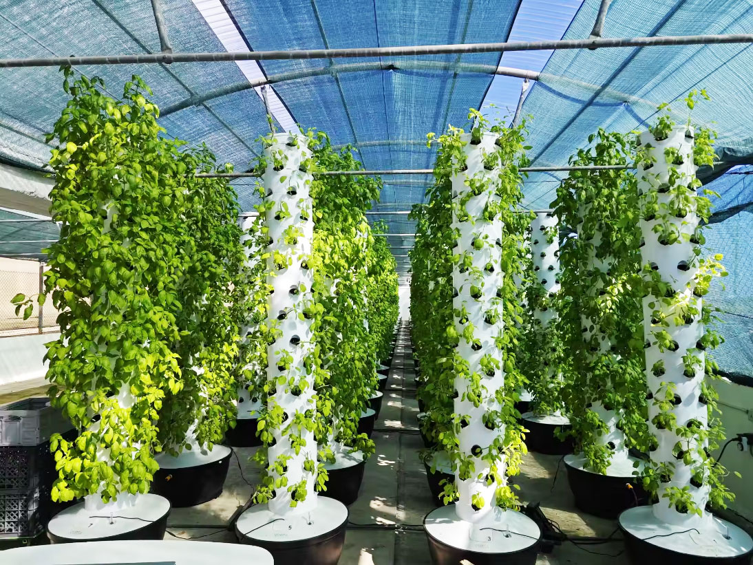Sistema di Coltivazione Idropo - Hydroponic Tower Garden recensione e prezzo