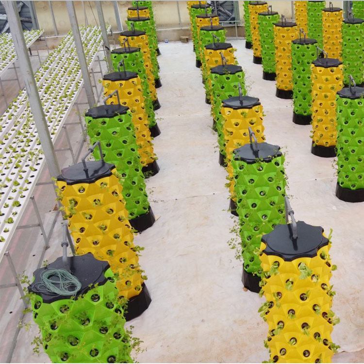 Sistema di Coltivazione Idropo - Hydroponic Tower Garden recensione e prezzo