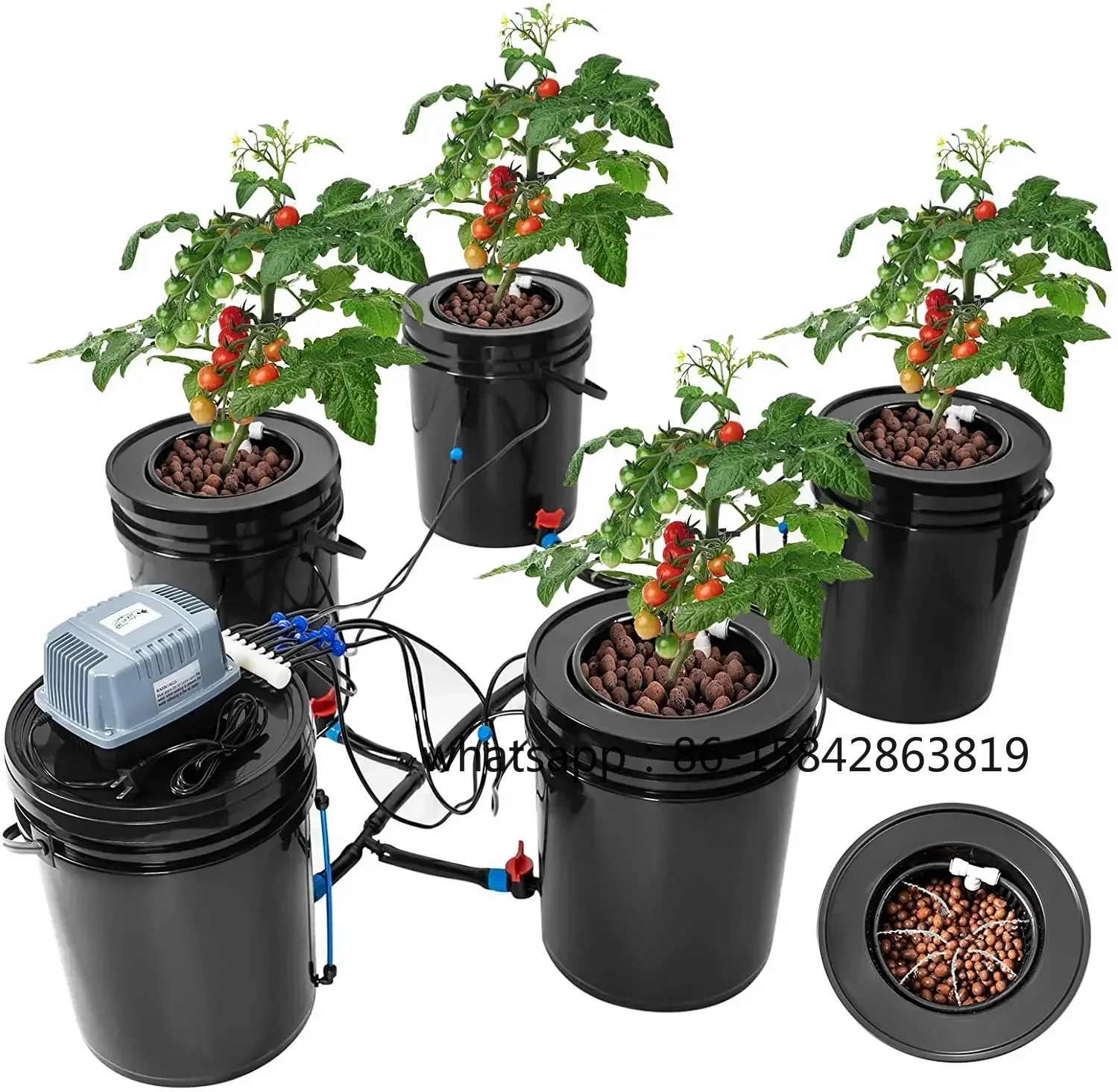 Nuovo Sistema Idroponico DWC R - Dwc Bucket System 5 Gallon recensione e prezzo