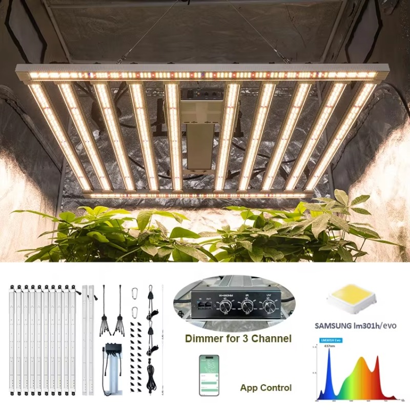 Tenda da coltivazione 4x4 Kit  - Carbon Filter Grow 6 Inch recensione e prezzo