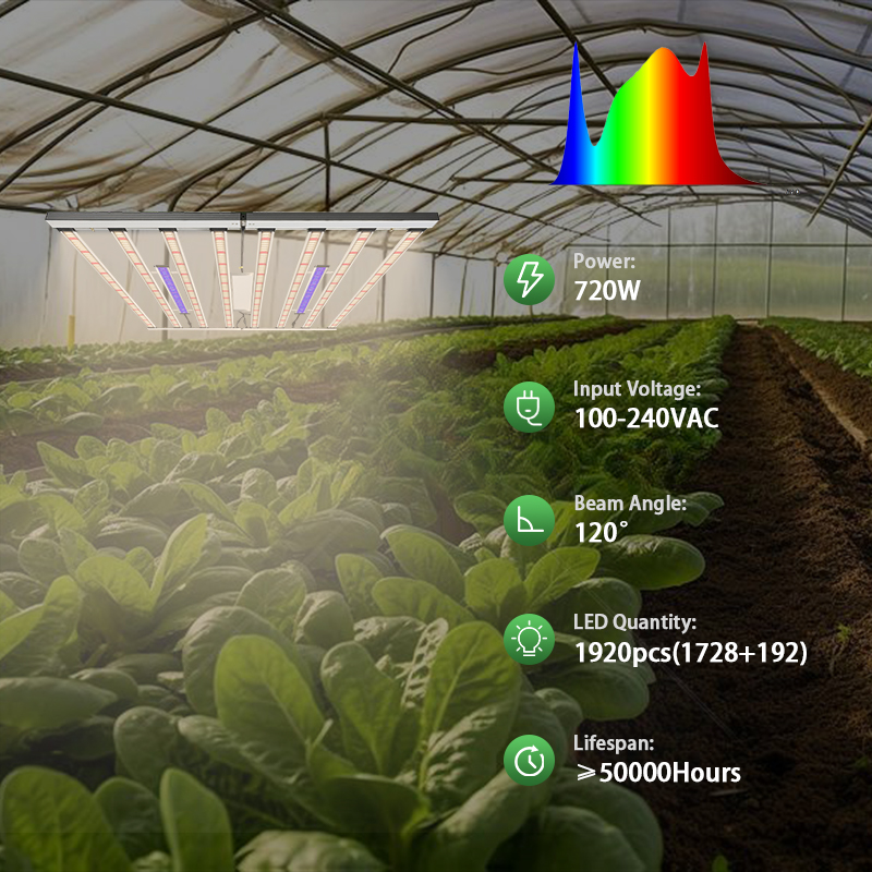 Lampada LED per Coltivazione 1 - Led Grow Light 1000W Full Spectrum recensione e prezzo