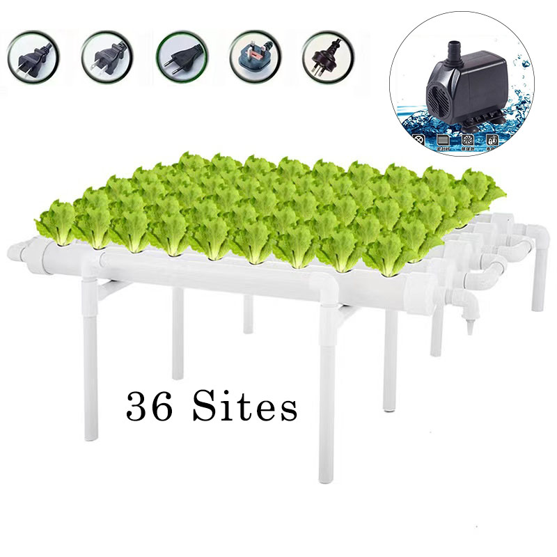 Fioriera idroponica per verdur - Hydroponic Growing System 36 Site recensione e prezzo