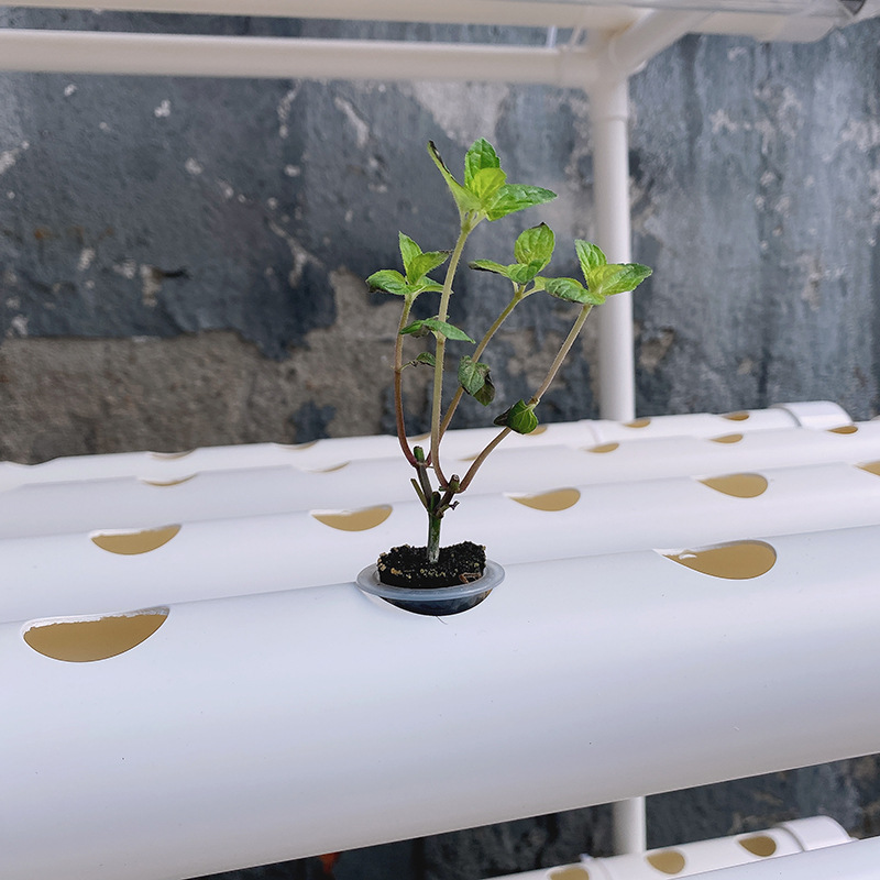 Fioriera idroponica per verdur - Hydroponic Growing System 36 Site recensione e prezzo