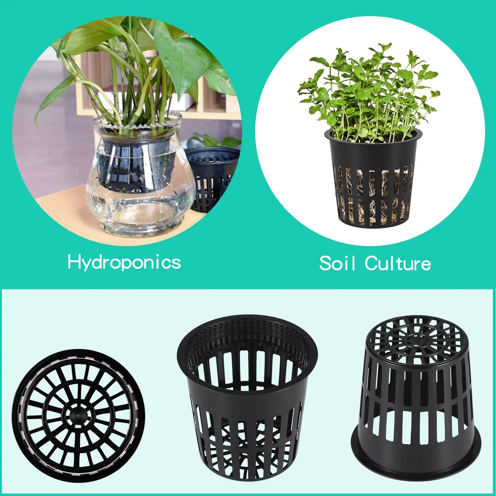10 PZ 3 Pollici Idroponica Taz - Hydroponic Net Pots 3 Inch recensione e prezzo