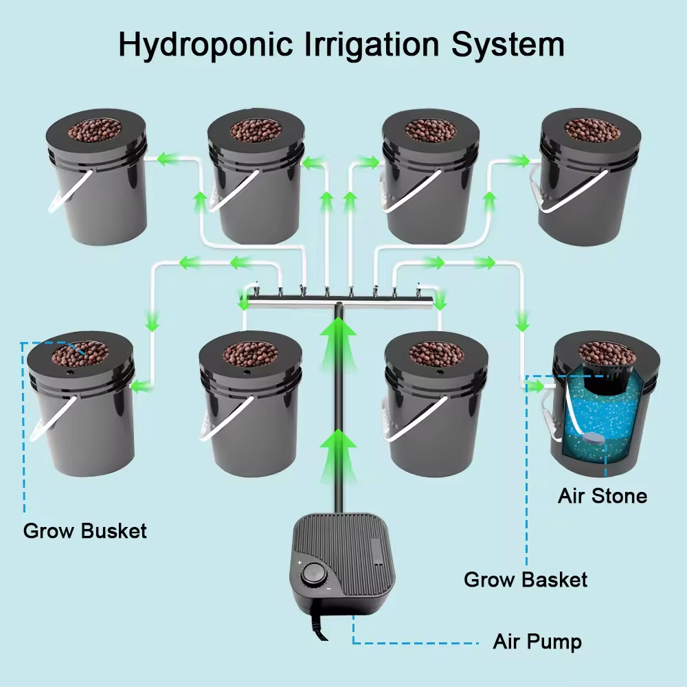 Nuova fattoria di approvvigion - Dwc Bucket System 5 Gallon recensione e prezzo