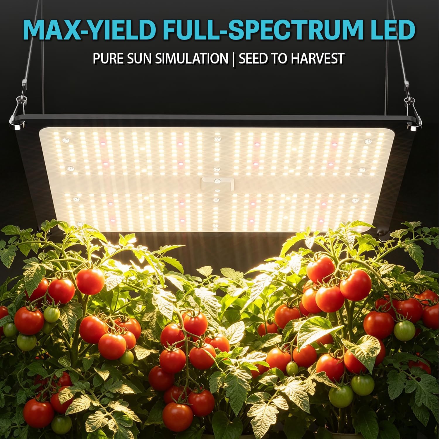 Kit completo per la coltivazio - Grow Tent 4X4 Mylar recensione e prezzo