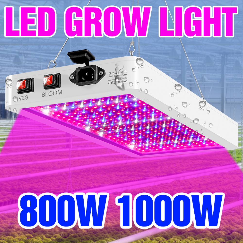 1000W LED Pianta Coltiva La Lu - Led Grow Light 1000W Full Spectrum recensione e prezzo