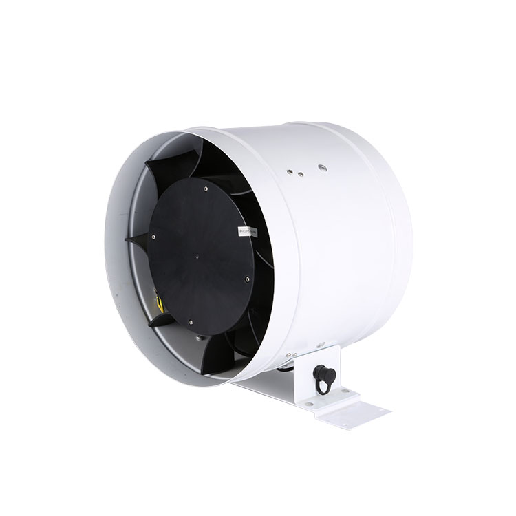 Ventilatore a condotto in line - Inline Duct Fan 8 Inch recensione e prezzo