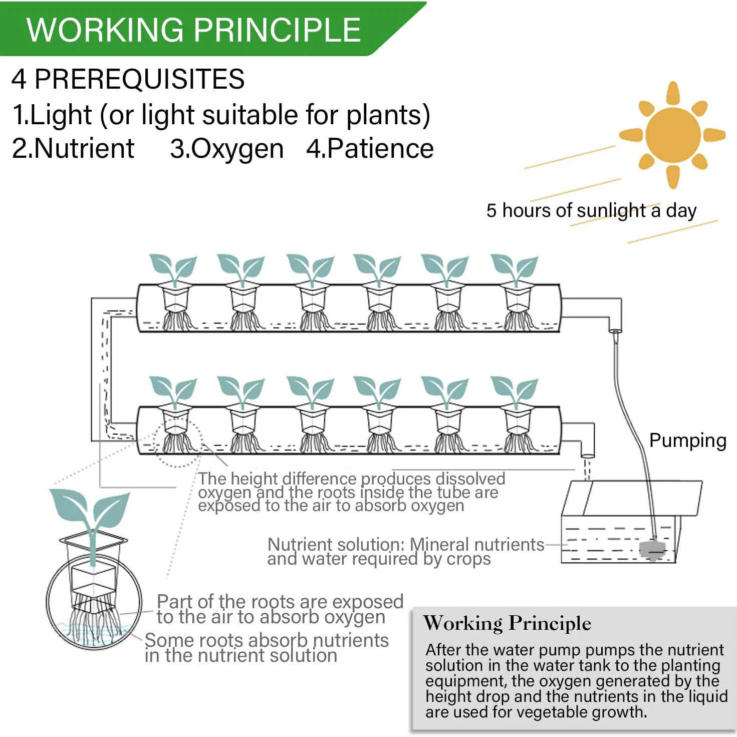 Kit per Sistema di Coltivazion - Hydroponic Growing System 36 Site recensione e prezzo