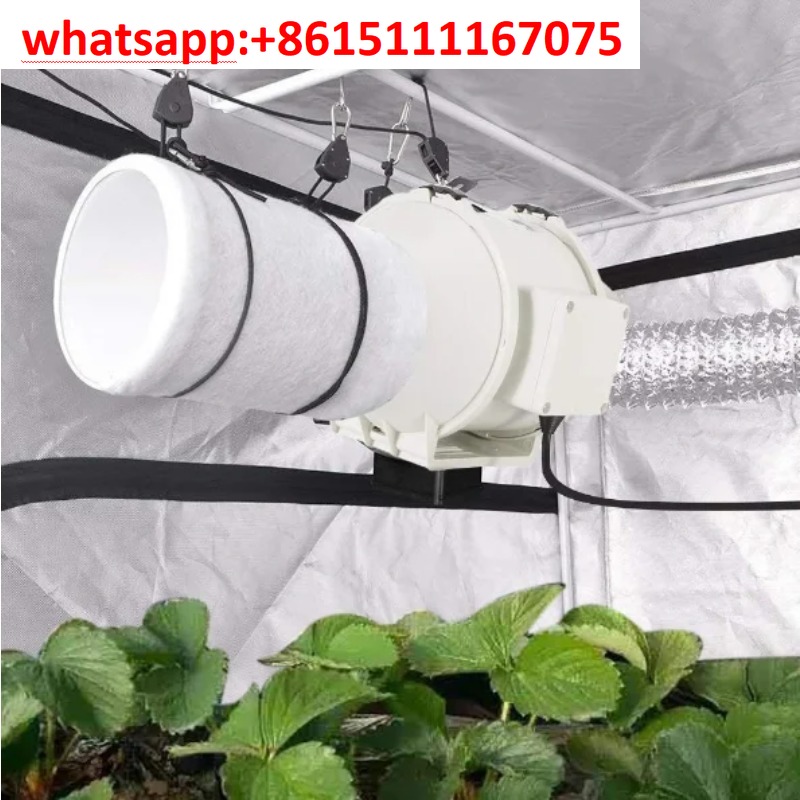 Filtro a carbone attivo idropo - Carbon Filter Grow 6 Inch recensione e prezzo
